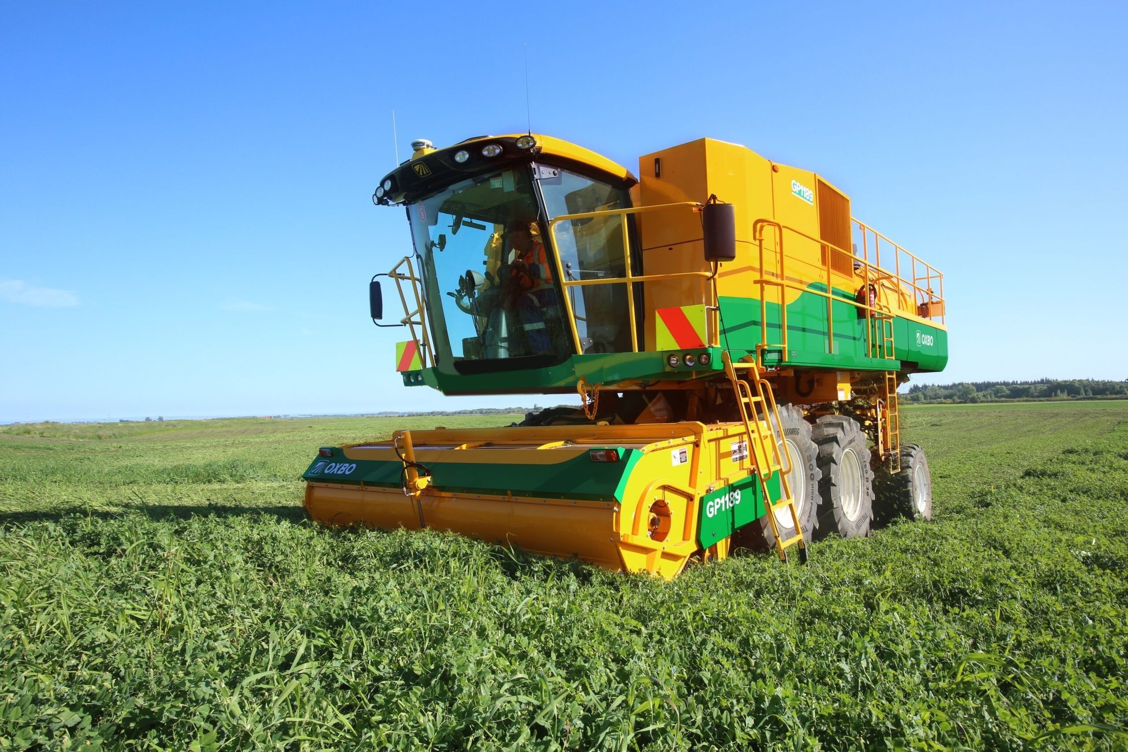 Pea harvester machine - GP1189 - Oxbo International