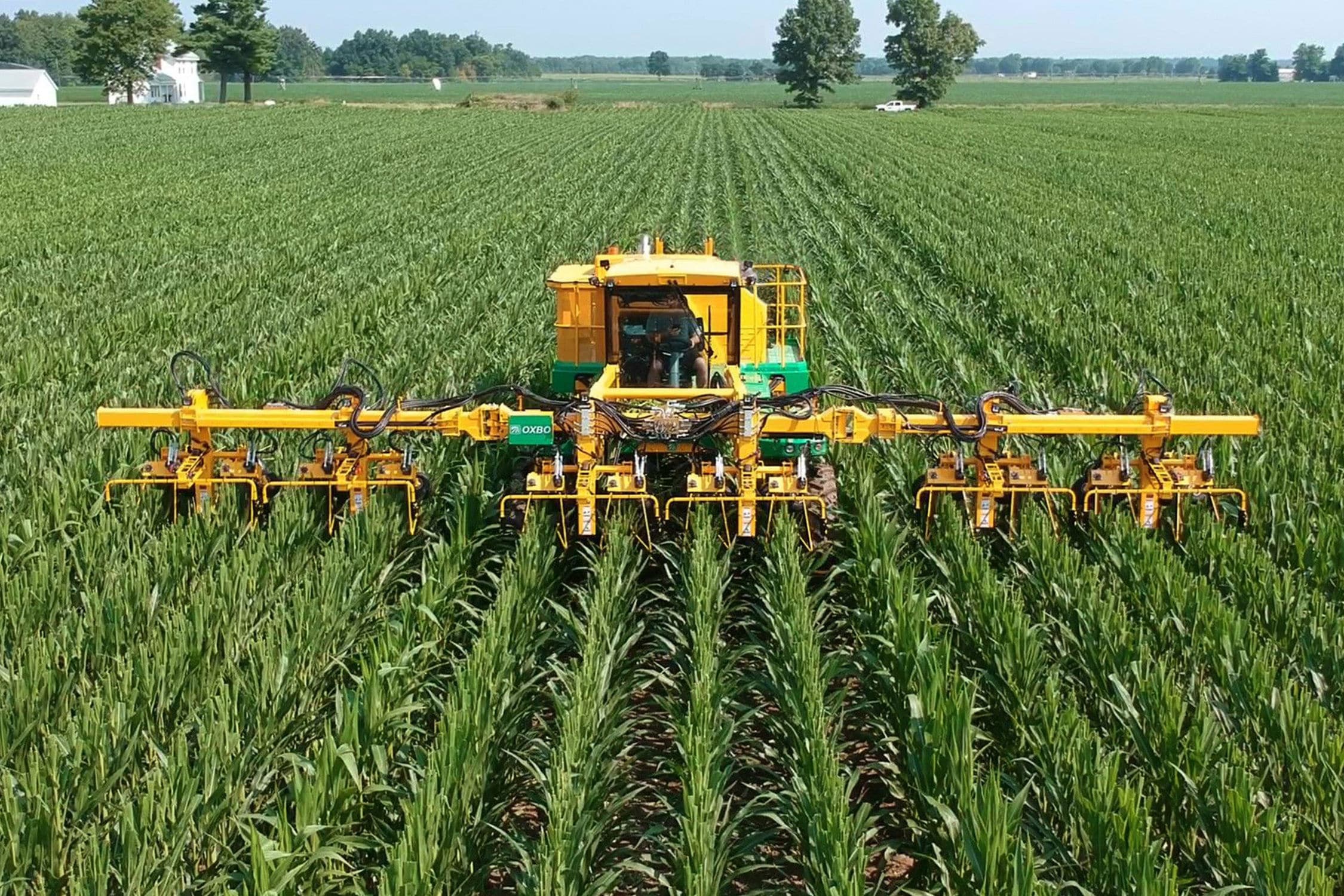 Selfpropelled detasseler 5180 Oxbo International Corporation 12row