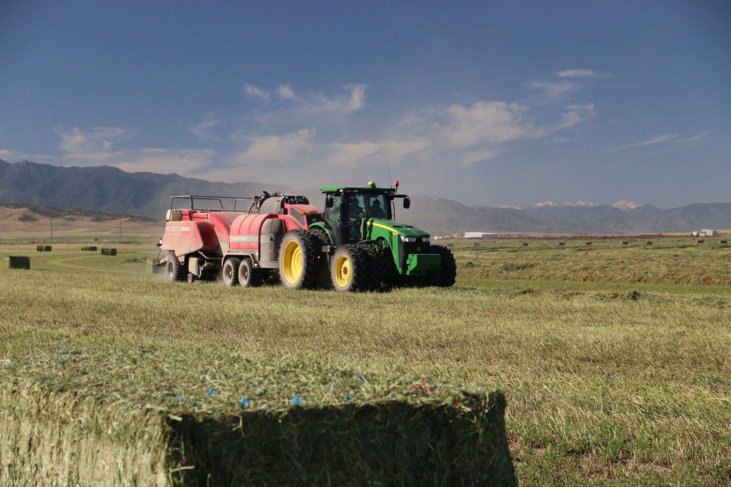 Trailed hay steamer DEWPOINT 6210 Staheli West, Inc.