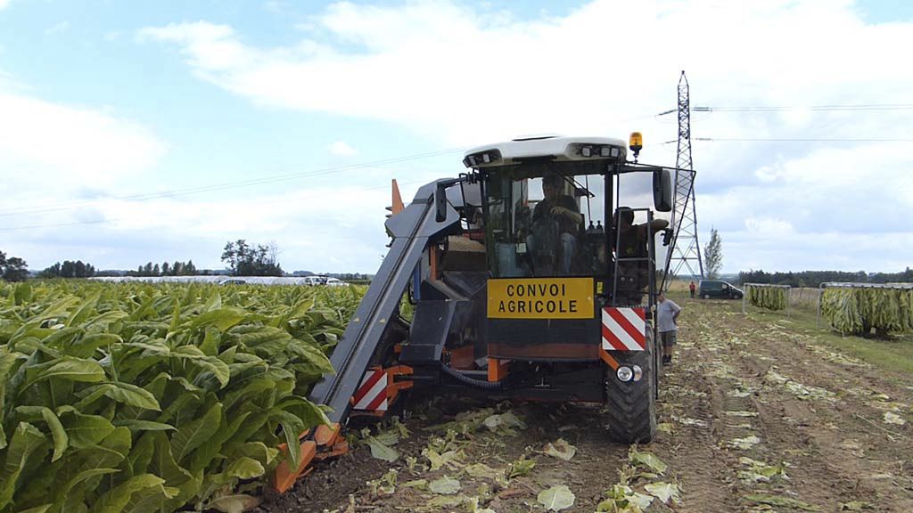 burley tobacco harvester Tobacco harvesting machine - M20 - Somaref