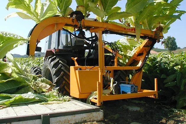burley tobacco harvester Tobacco harvester machine - RMTD 03 - KIRPY