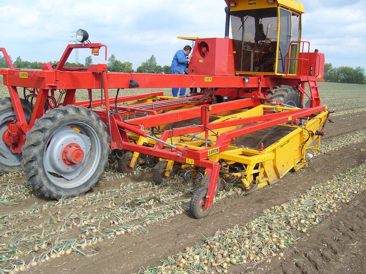Onion loader Samon bv selfpropelled / 2row