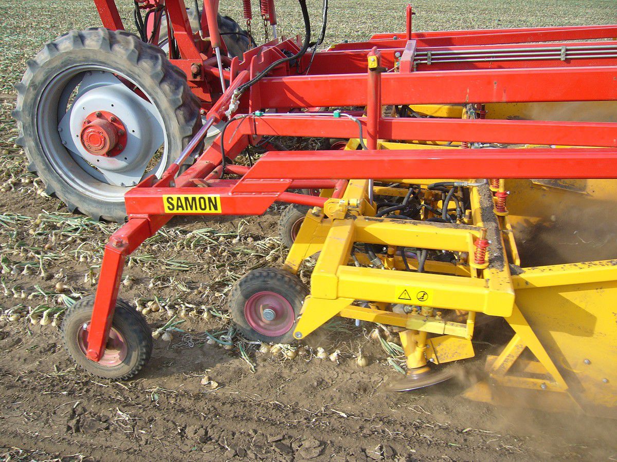 Onion harvester Samon bv selfpropelled / 2row