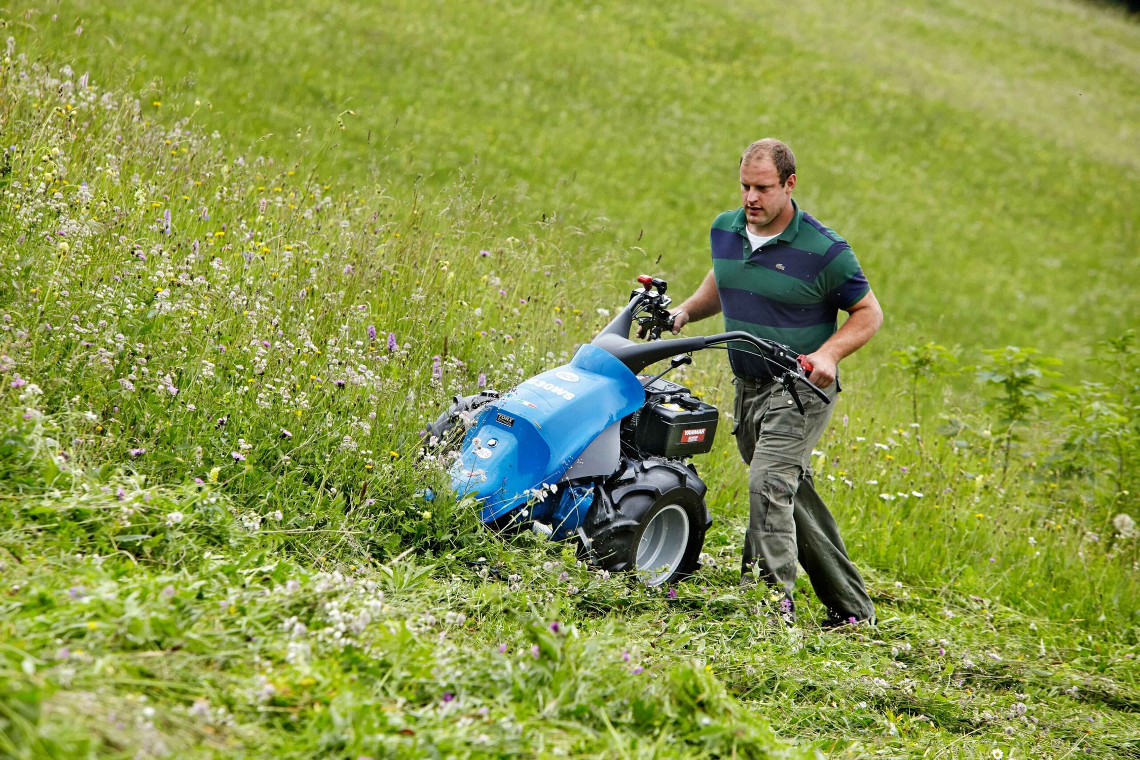 Motor-mower - 630 WS PowerSafe - BCS - sickle bar / grass / weeding