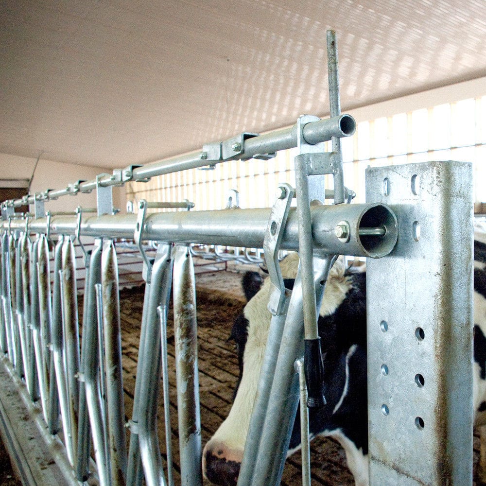 Cows headlock Canarm AgSystems selflocking
