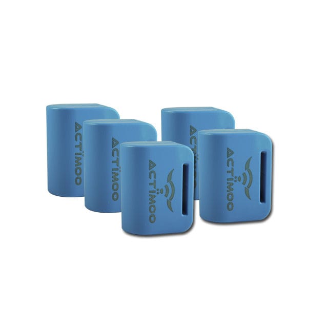 Cattle pedometer Maxi Algan Group Ltd.