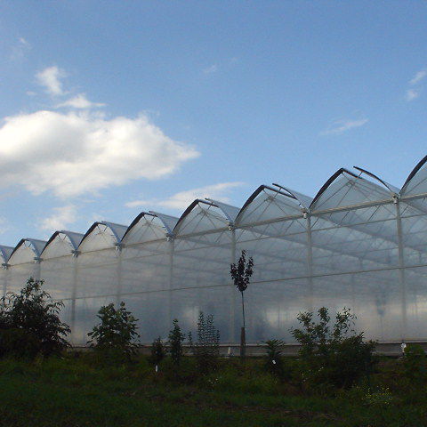 Multi span greenhouse - Cabrio Top Air - VERMAKO GREEN HOUSES - venlo ...