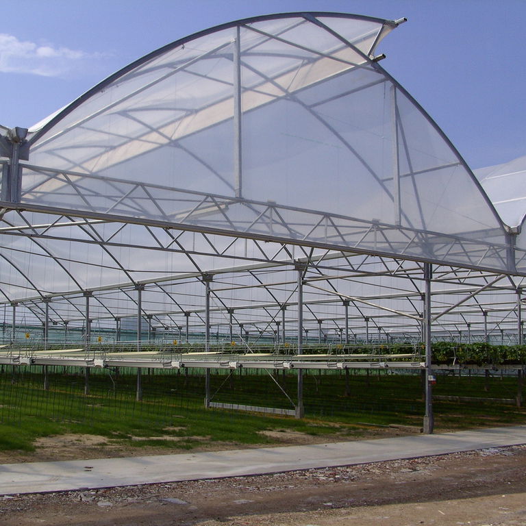 Commercial production greenhouse - VERMAKO GREEN HOUSES - plastic ...