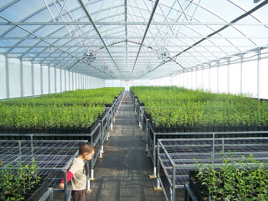 Commercial production greenhouse Muscle RT Atlas Manufacturing Inc