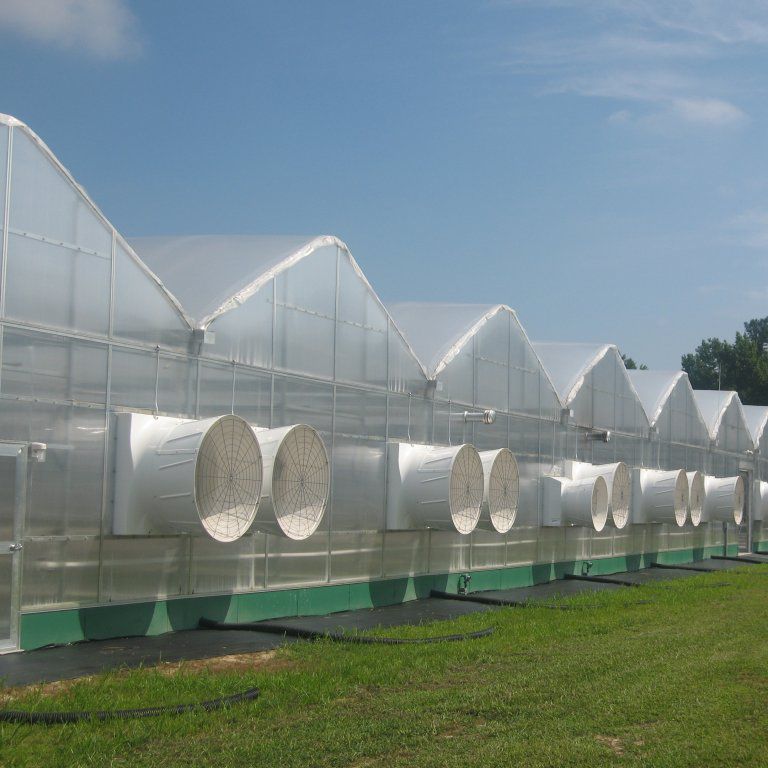 Greenhouse ventilation system De Cloet Greenhouse Manufacturing Ltd