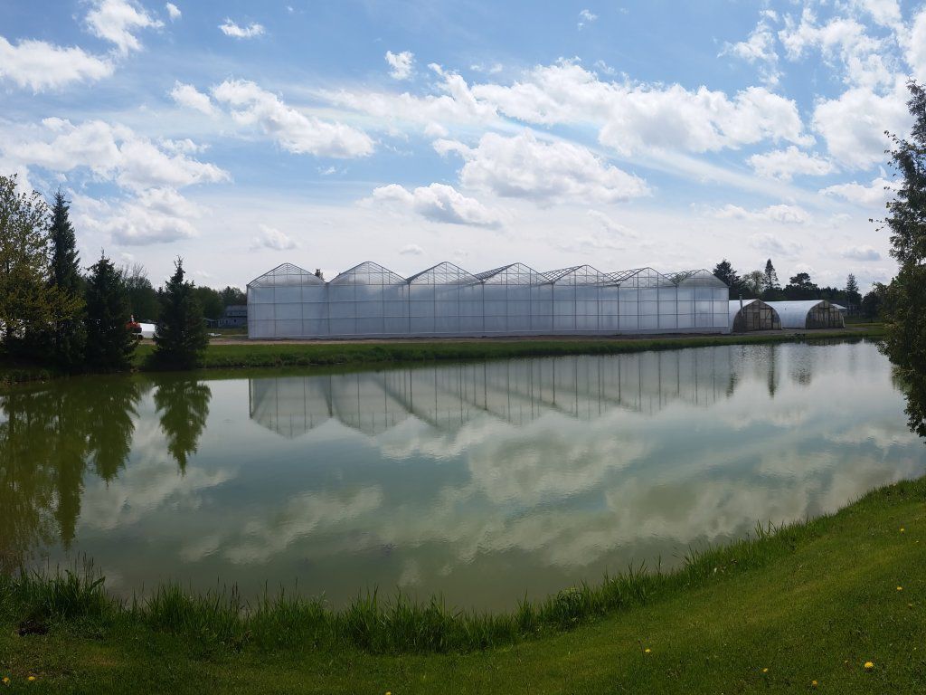 Multi span greenhouse De Cloet Greenhouse Manufacturing Ltd