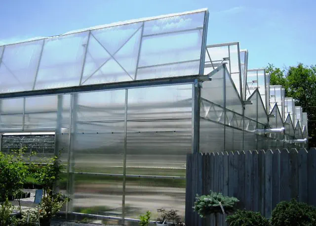 Multi span greenhouse Ez Up Direct Series Ludy Greenhouse Manufacturing Corporation ornamentals production glass with gutter