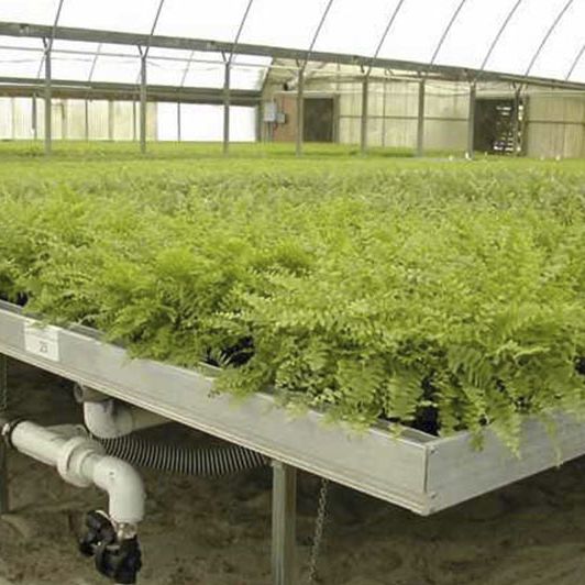 Ebbandflow greenhouse bench RoFlo Rough Brothers Inc