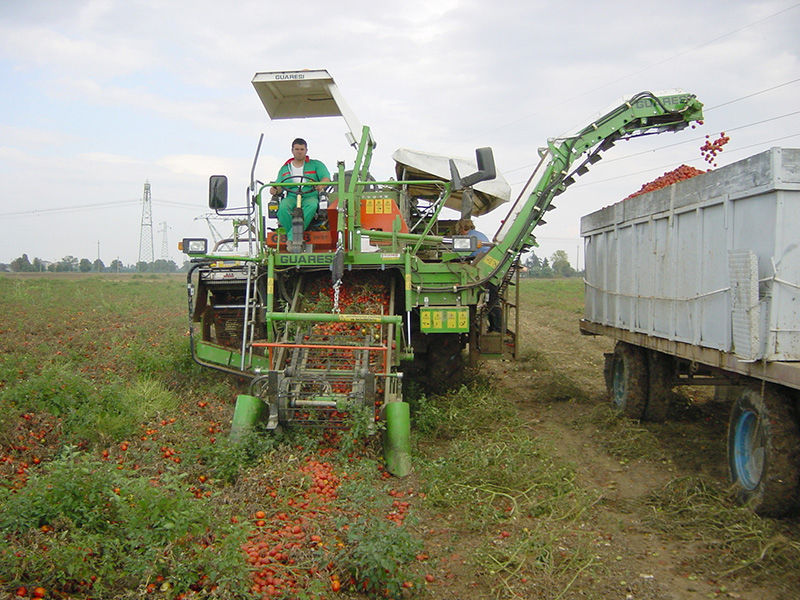 Tomato harvester G 89/93 MS 32 GUARESI SpA selfpropelled / 2row