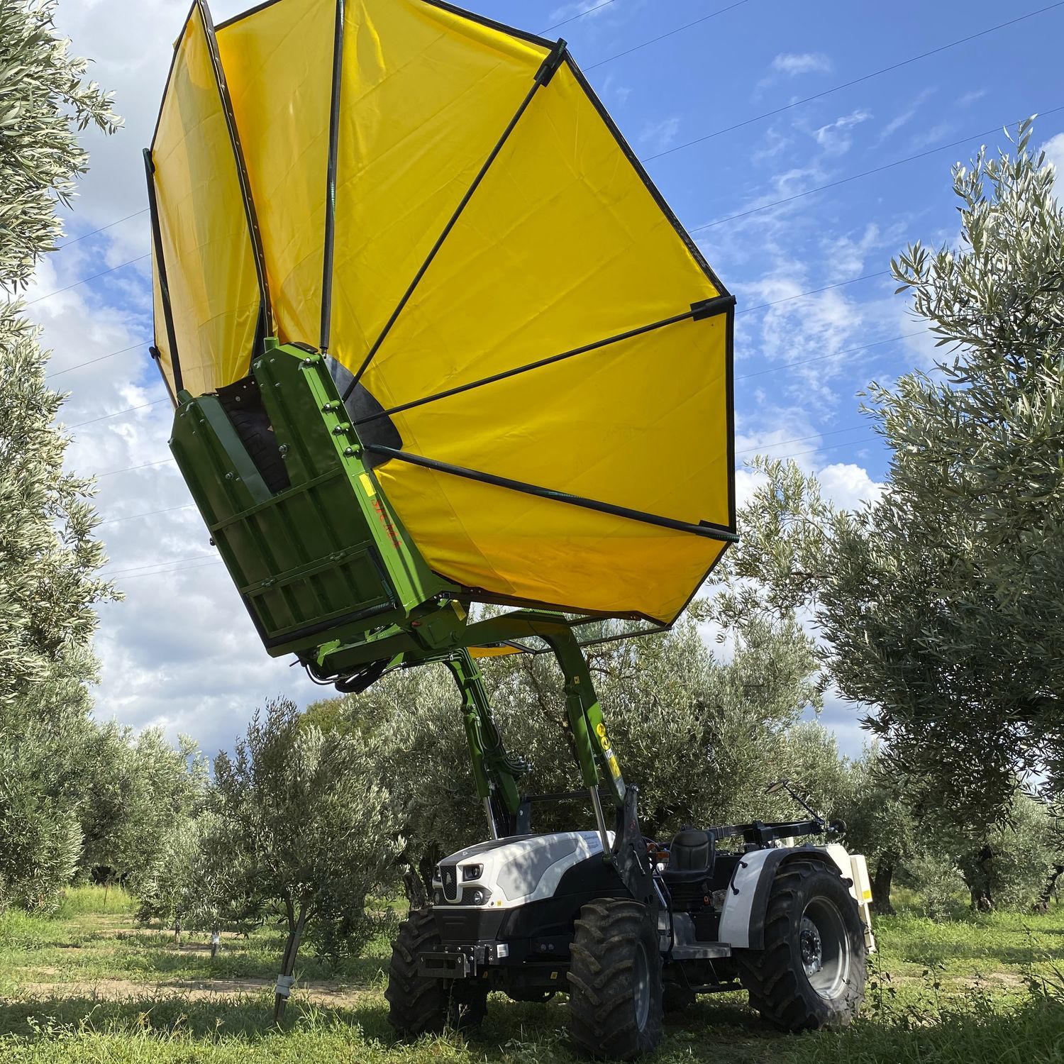 Olive tree shaker RC SICMA Srl tractormounted / hydraulic