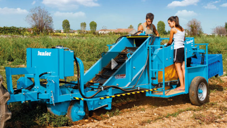 Potato harvester SRPA 1/J SPEDO F.LLI di Spedo Susanna & C. Sas