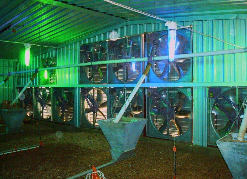 Poultry house climate controller OPTICON AGRI SYSTEMS temperature