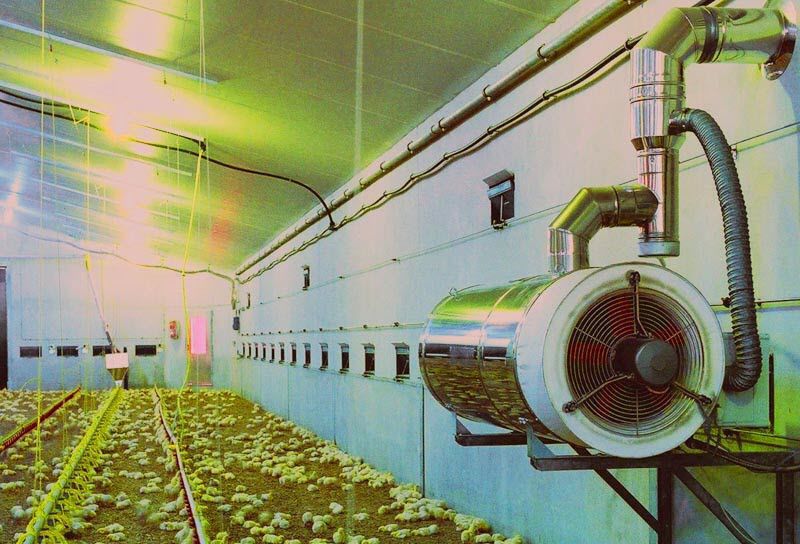 Poultry house climate controller OPTICON AGRI SYSTEMS temperature