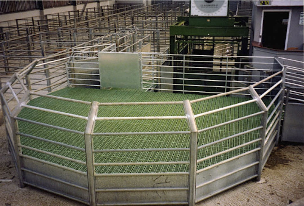 Plastic slatted floor / for sheep breeding / non-slip - Sheep Calf ...