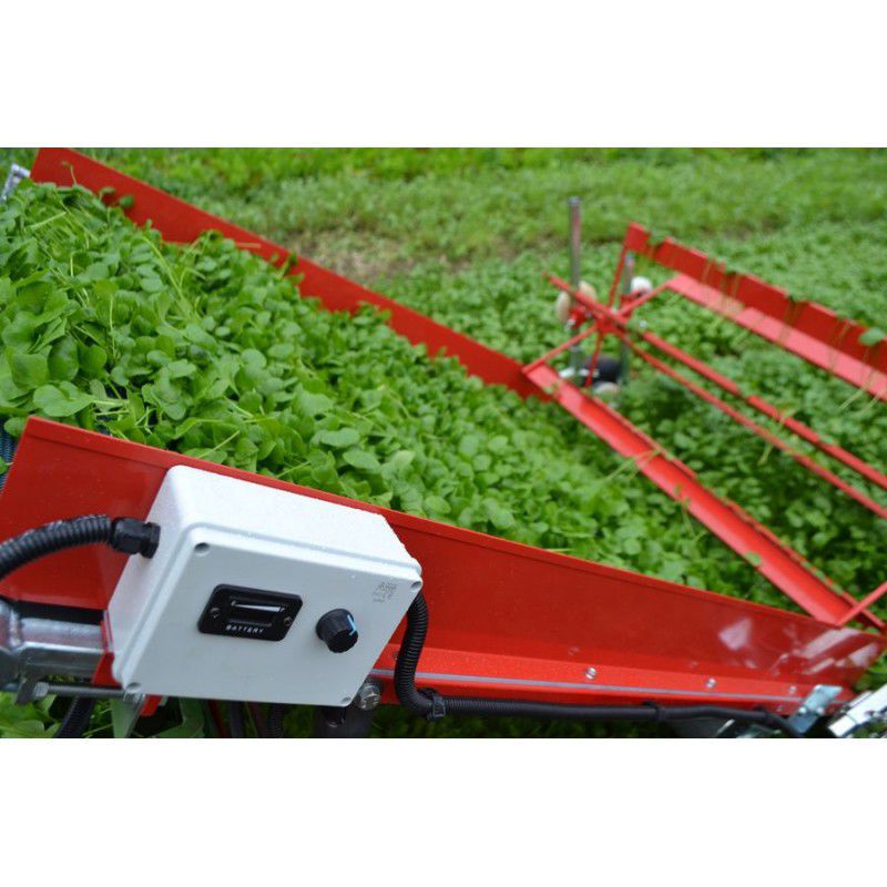 Spinach harvester T.CG.RJP Terrateck SAS baby leaf / lettuce