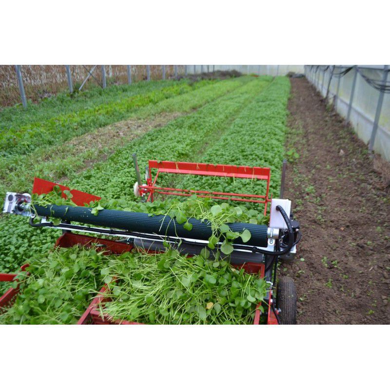 Spinach harvester - T.CG.RJP - Terrateck SAS - baby leaf / lettuce ...