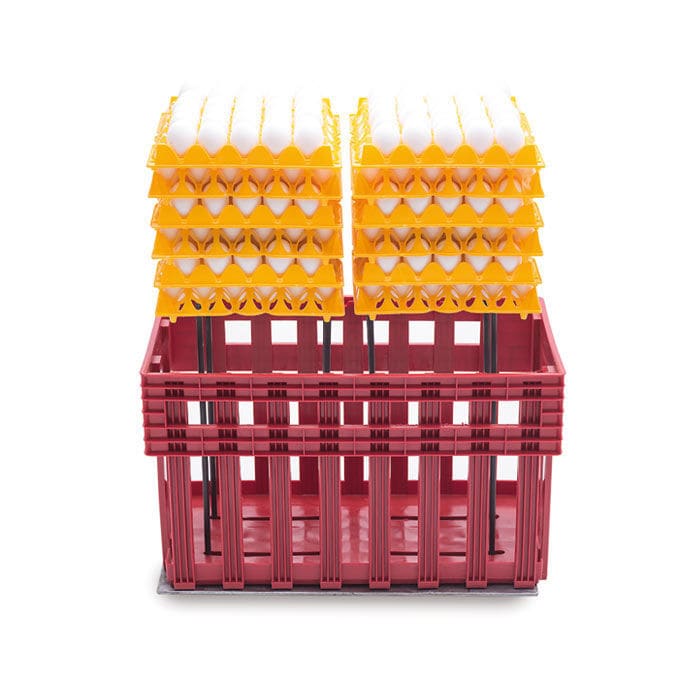 Transport egg box T ARION FASOLI SRL for chicken eggs / plastic