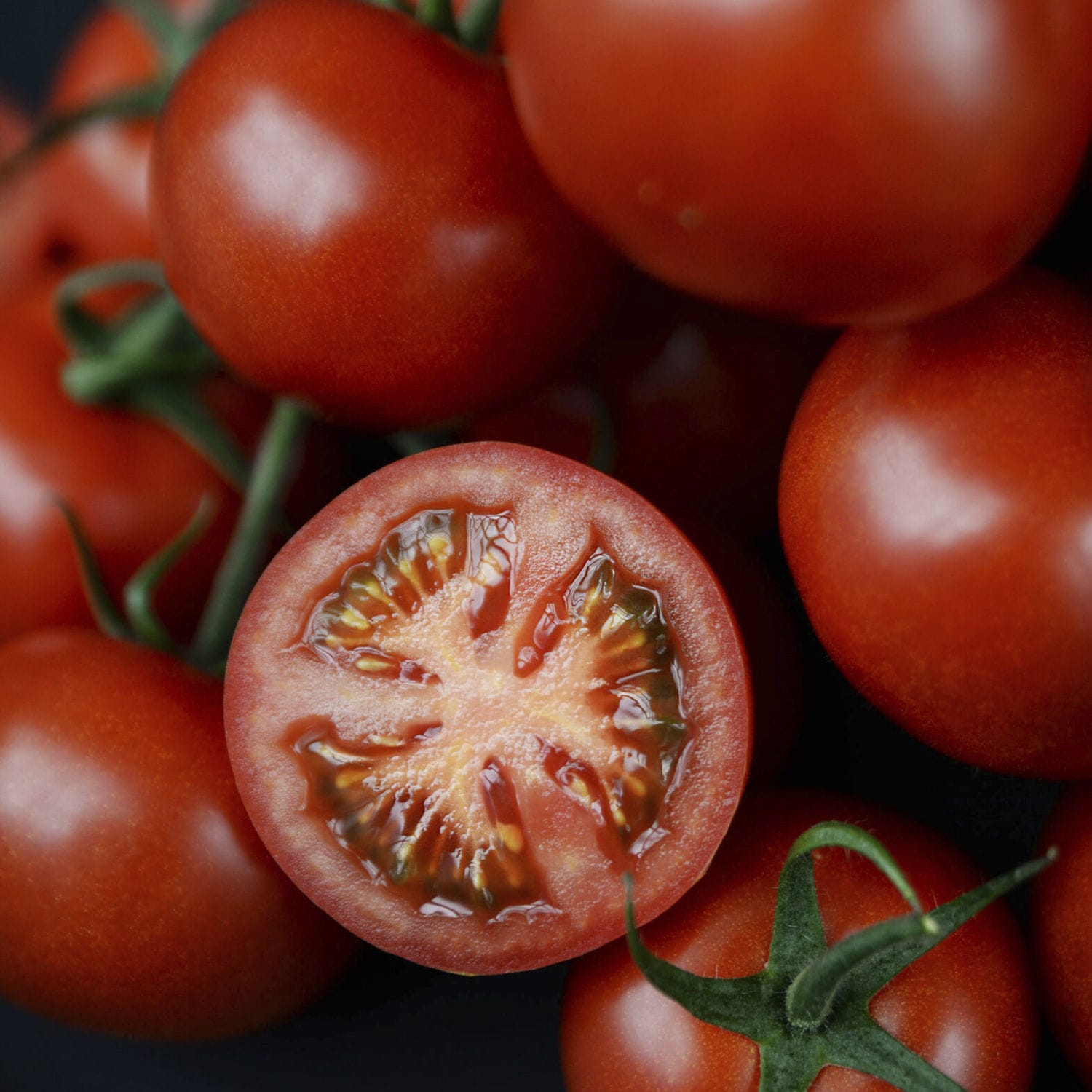 red-tomato-seed-sensera-hazera-fusarium-resistant-mosaic-virus