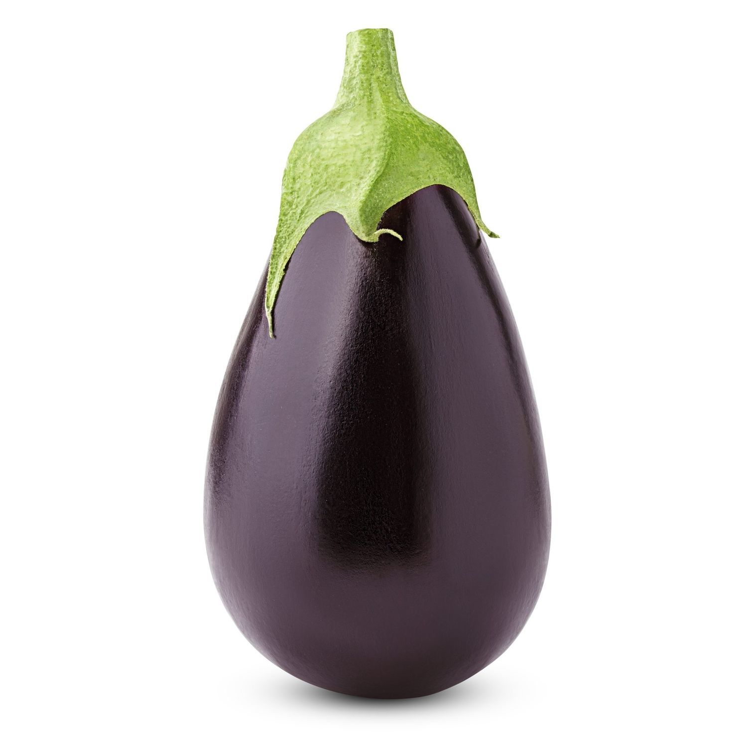 Early aubergine seed BLACK BEAUTY PanDia Seeds
