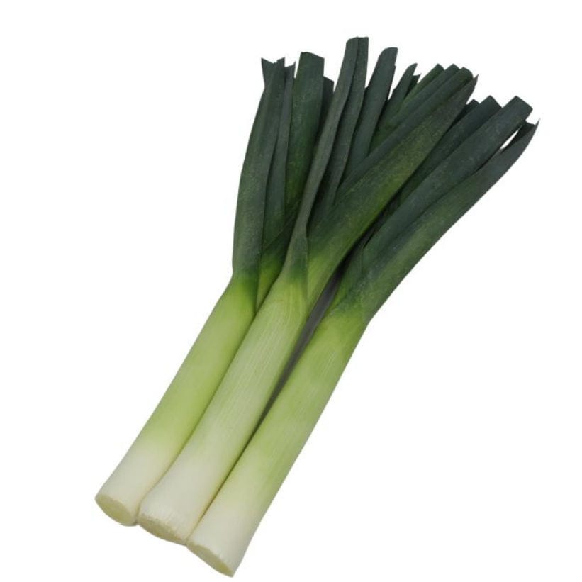 Early leek seed - Ascot F1 - Tozer Seeds Ltd - hybrid