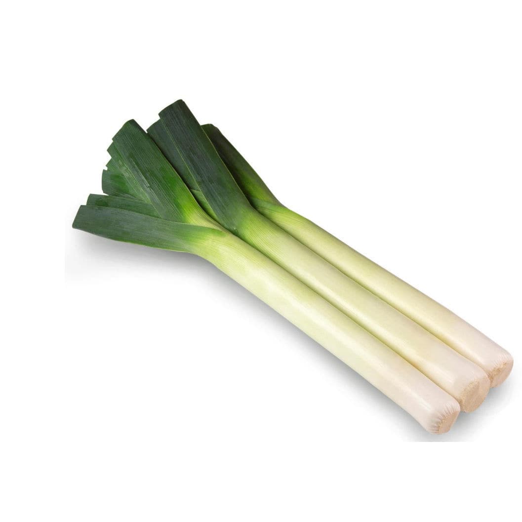 Early leek seed - Lancaster F1 - Tozer Seeds Ltd - winter / hybrid ...