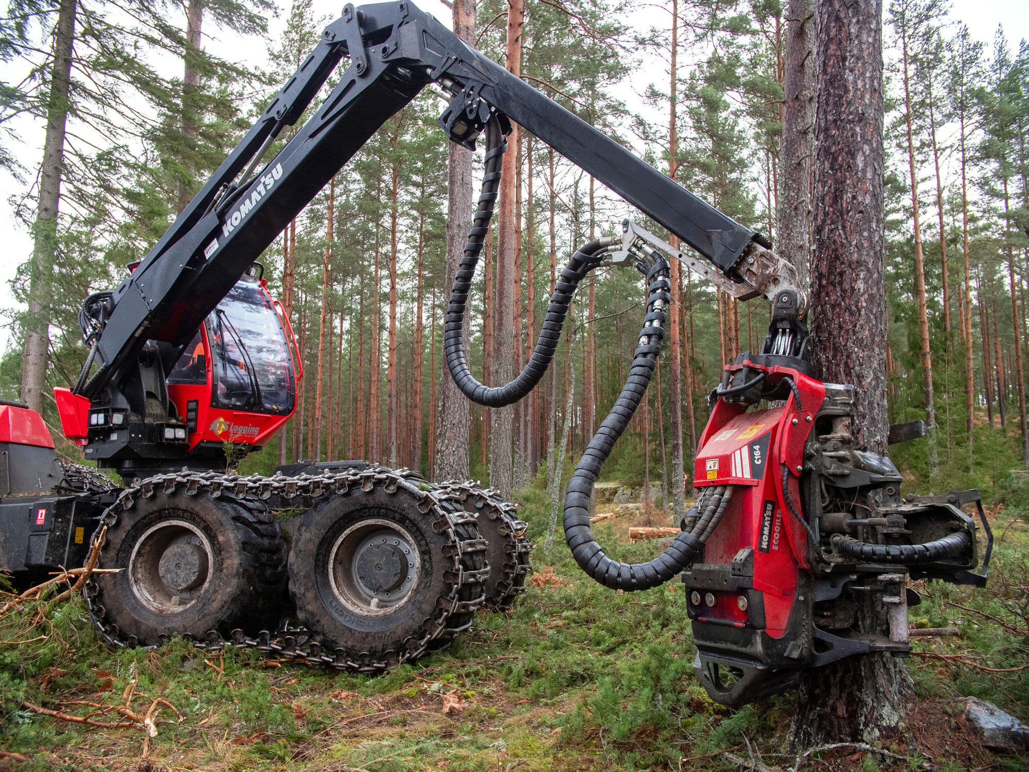 Forest thinning felling head - C164 - Komatsu Forest AB
