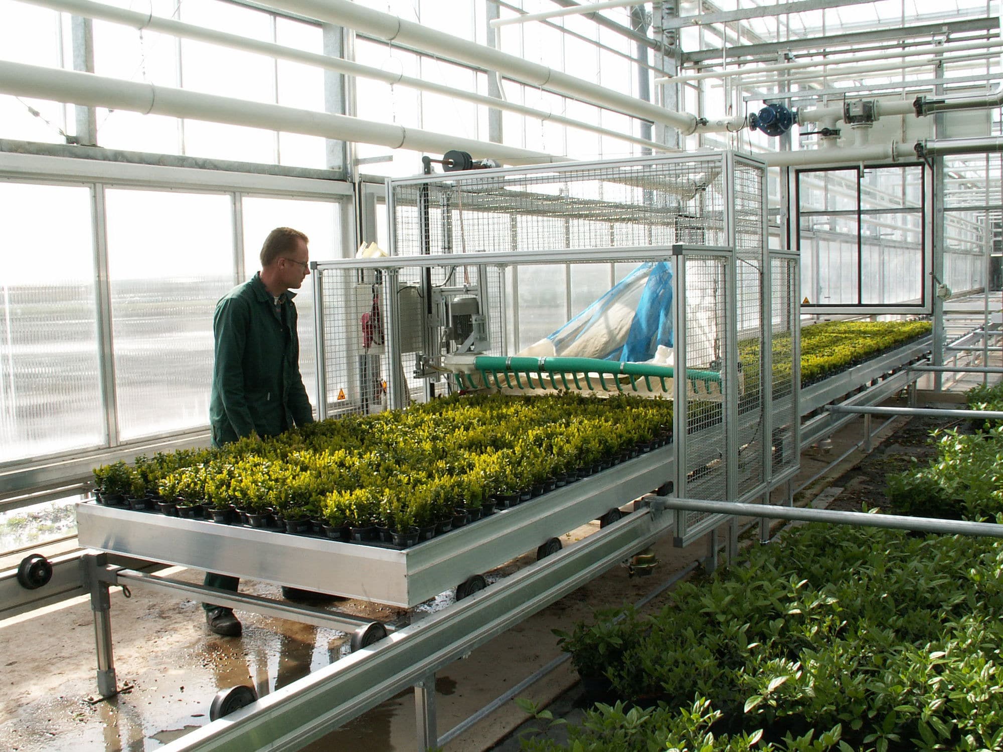 Vegetable harvester EazyCut Pack TTI / er Cooling self