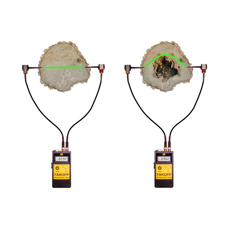 Tree analyzer - Fakopp Bt - tree stability / portable