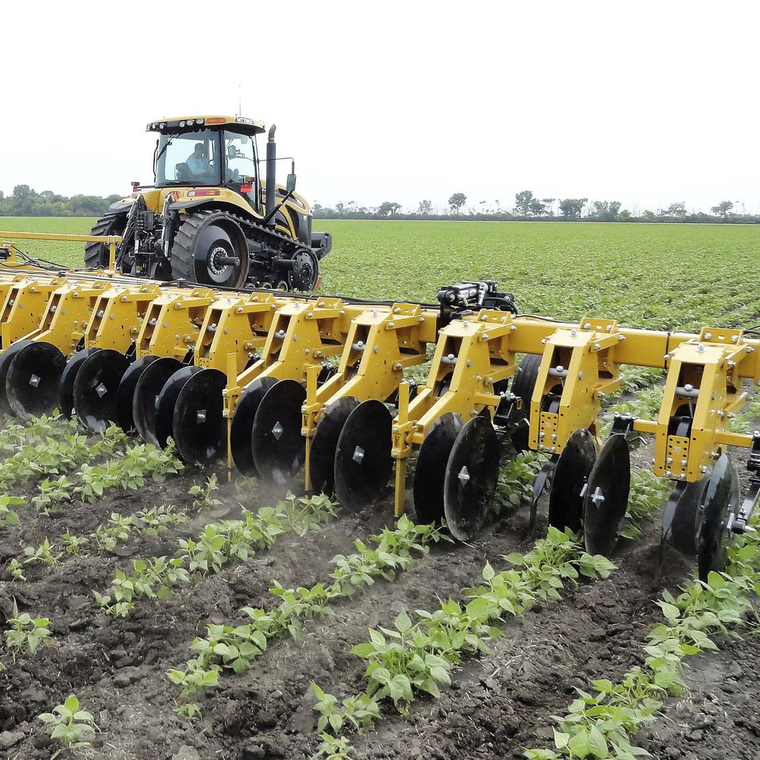 Mounted disc cultivator 3130 Alloway Standard Industries, Inc. 1section / folding