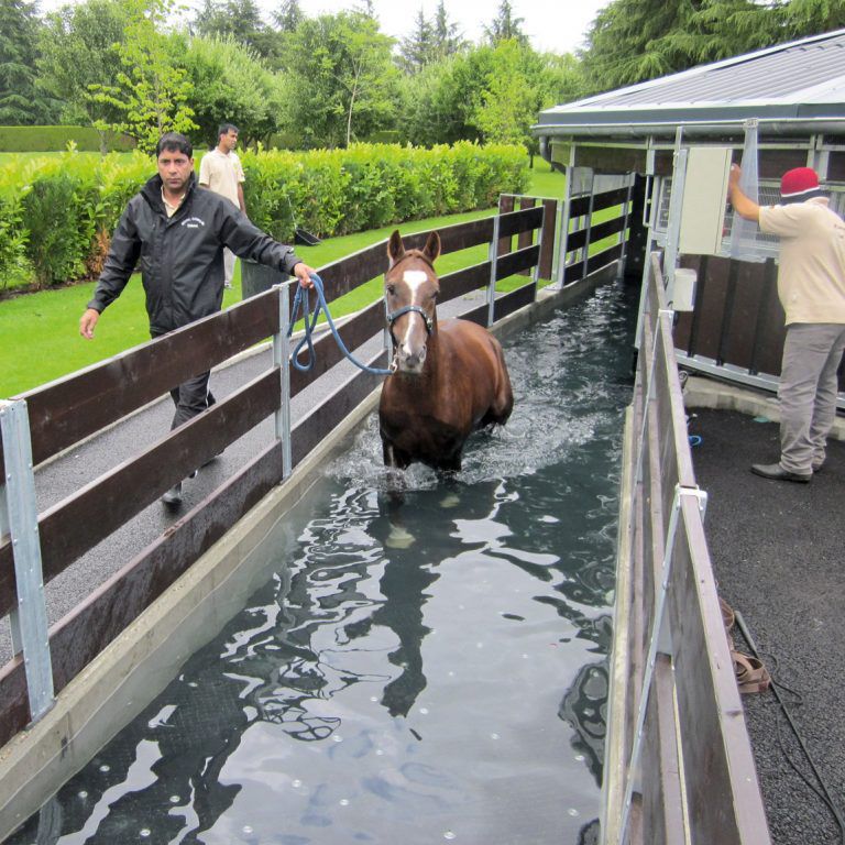 Oval horse walker - Kraft - water