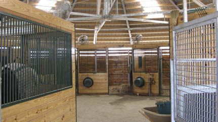 Modular Barn For Horses Round Kraft