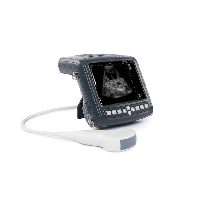 Wrist-Type Electronic Probe Veterinary Ultrasound Scanner