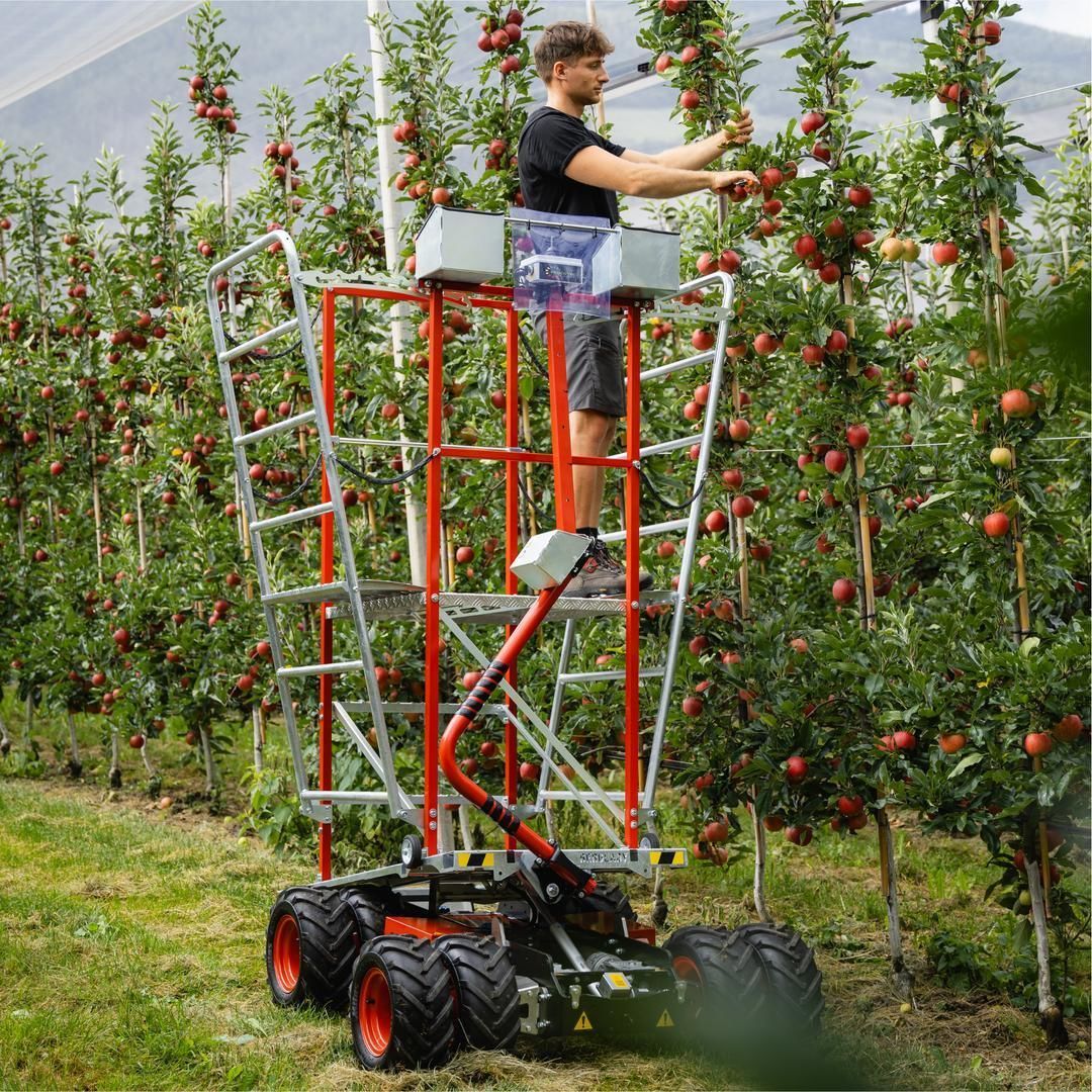 Horticulture harvest trolley - BERGLADY - Frucotec - orchard / for