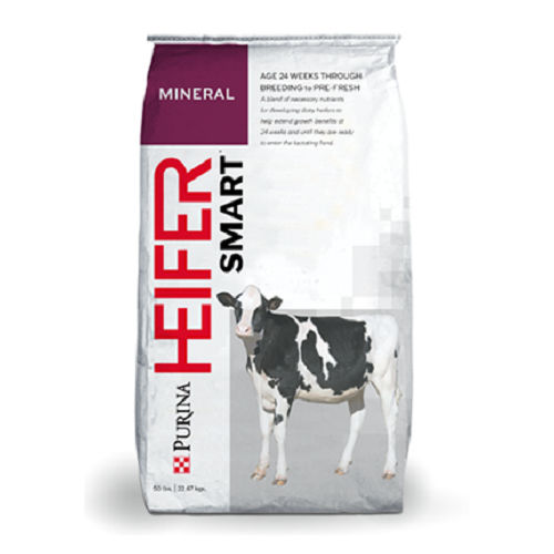 Animal feed supplement HEIFERSMART® Purina Mills calf / mineral