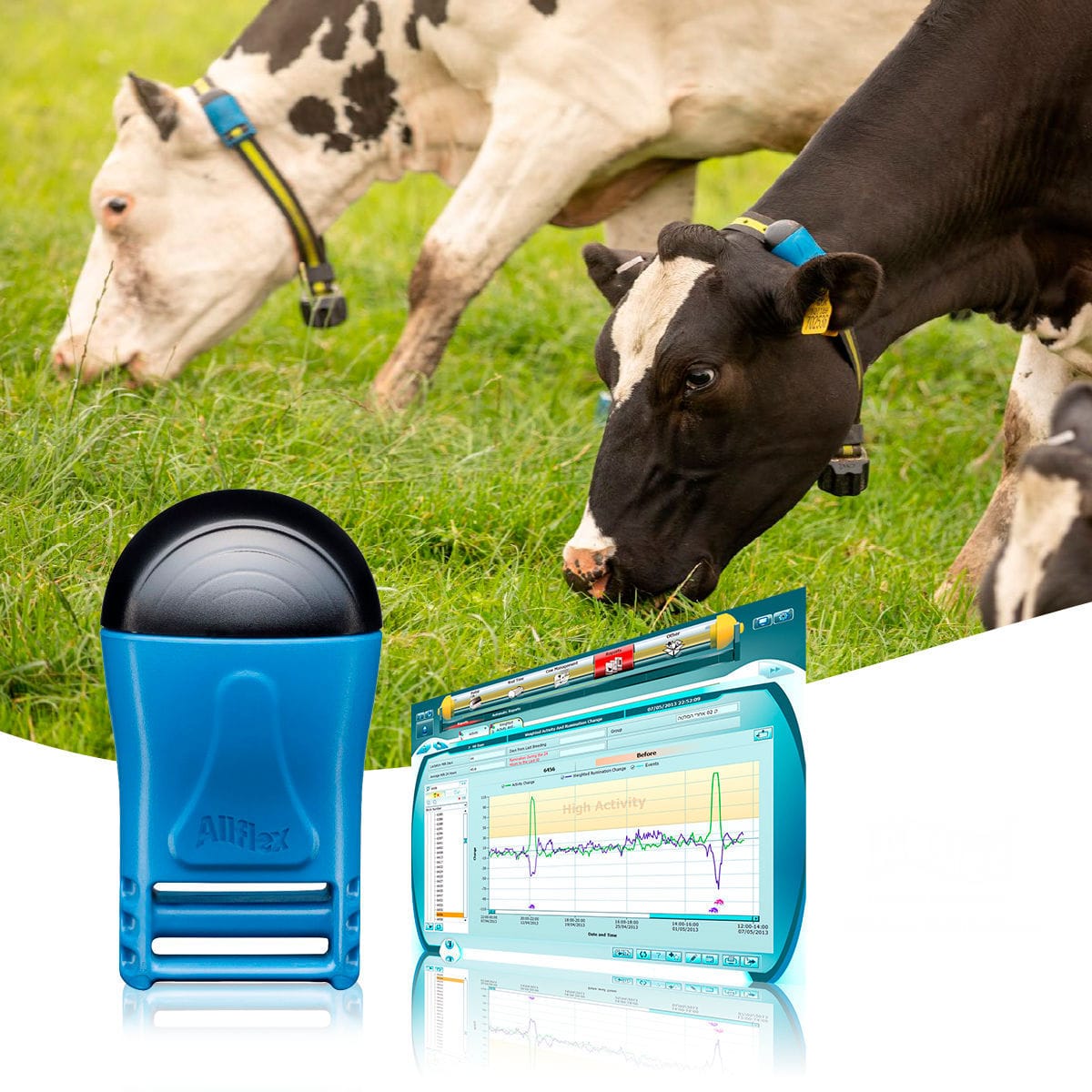 Cow management system CSense™ Flex tag Milkline NG SpA livestock