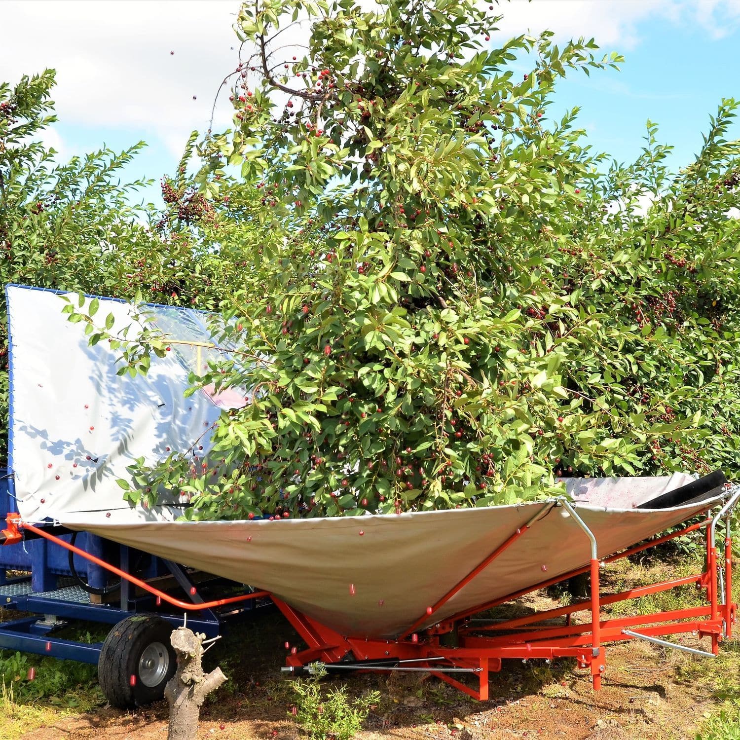 Fruit tree shaker GACEK JAGODA JPS Agromachines nuts / tractor