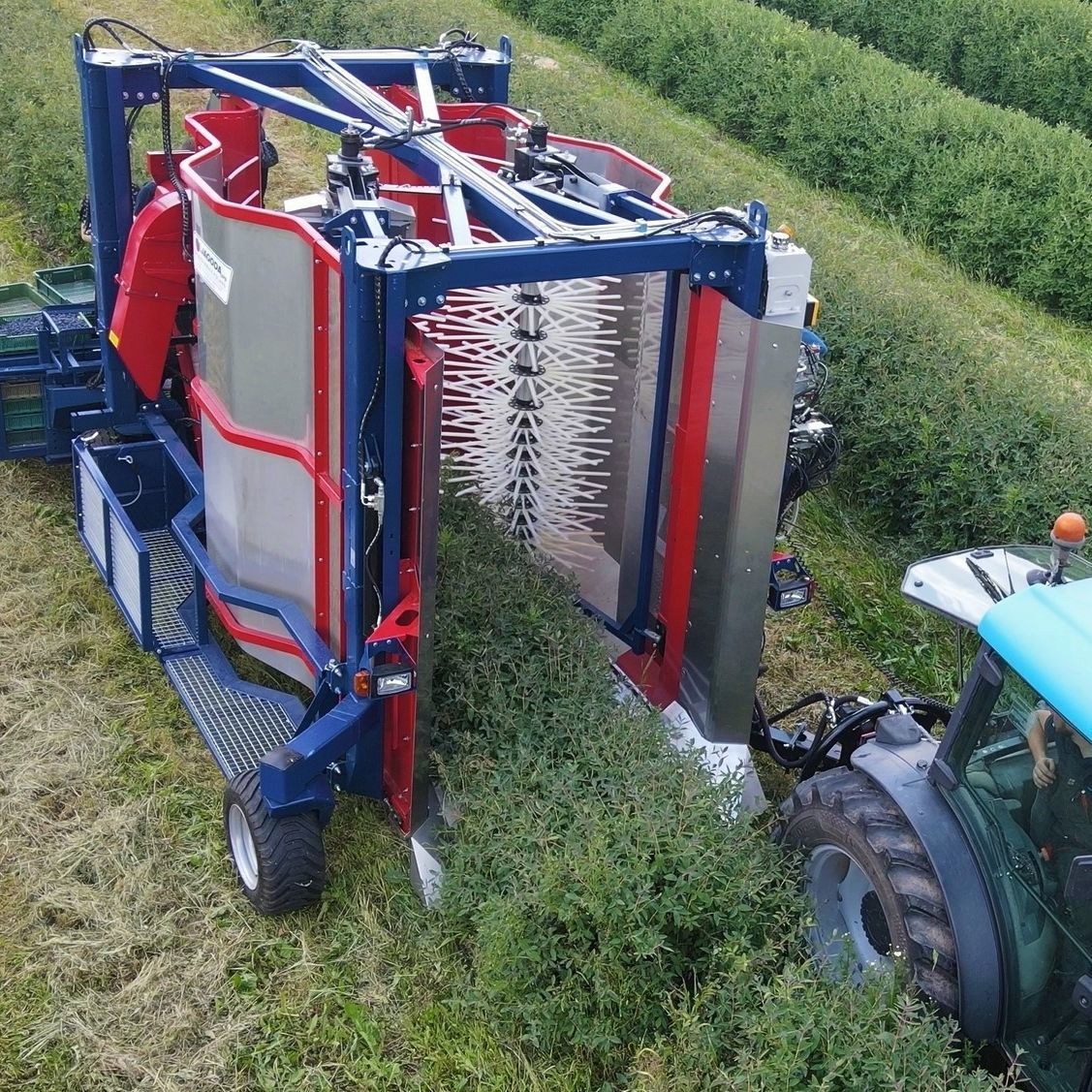 Raspberry Harvester Machine Jagoda 300 Jagoda Jps Agromachines