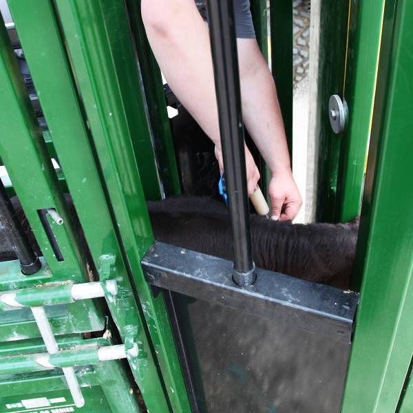 Cattle squeeze chute Deluxe Vet arrowquip