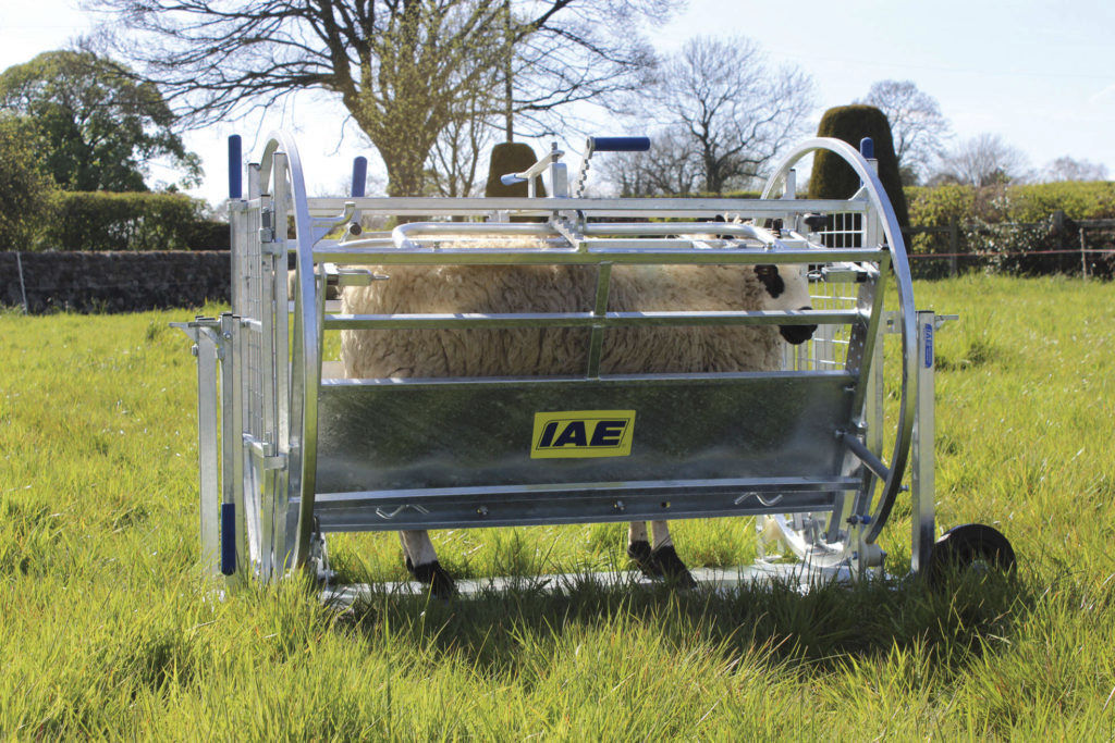 Sheep Turnover Crate F051 2300 Series iae