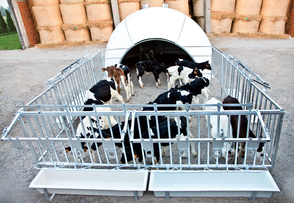 Livestock hutch 16 PLACES Siosfrance calf / group / plastic