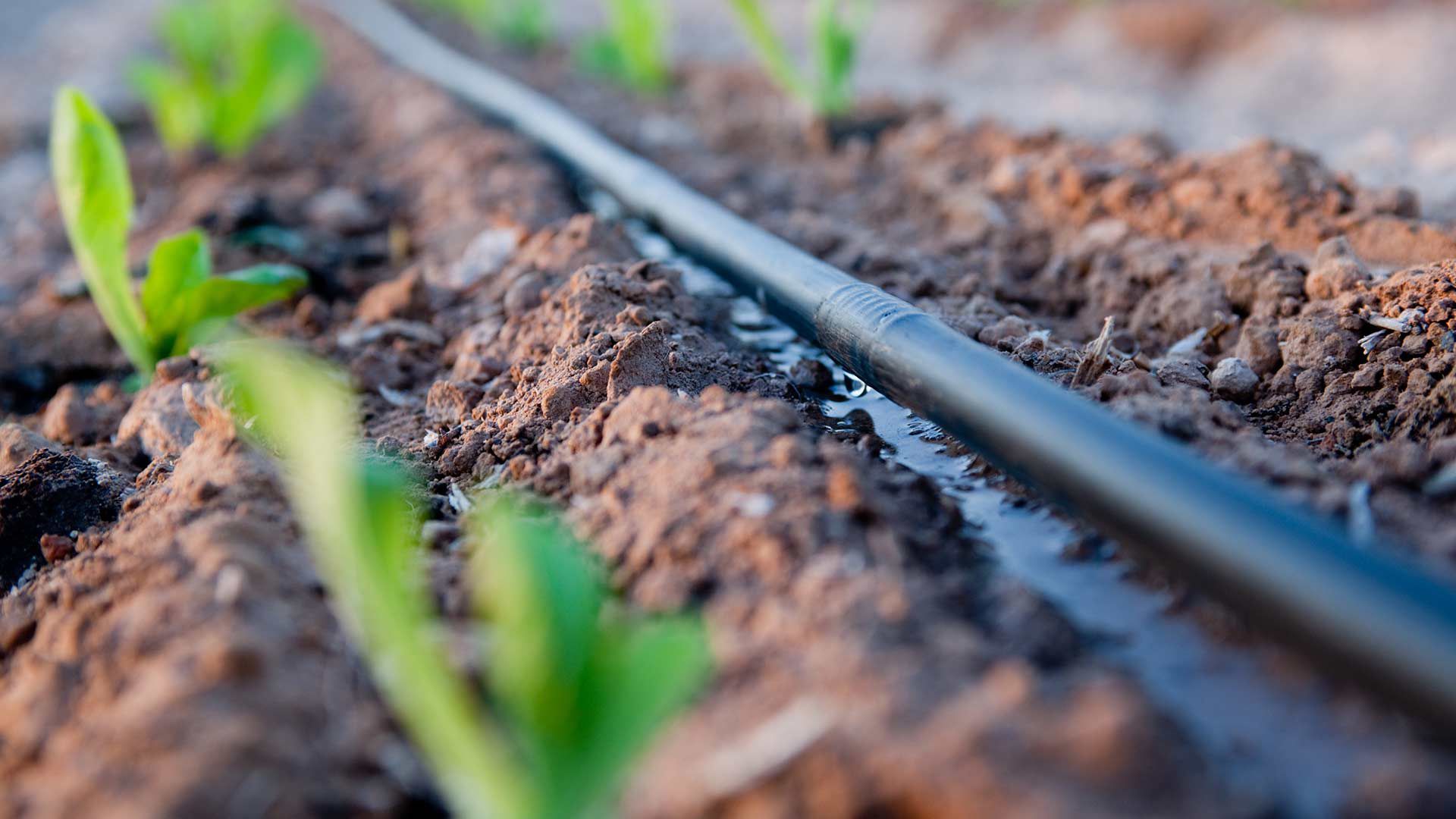 Drip irrigation system daiosplastics