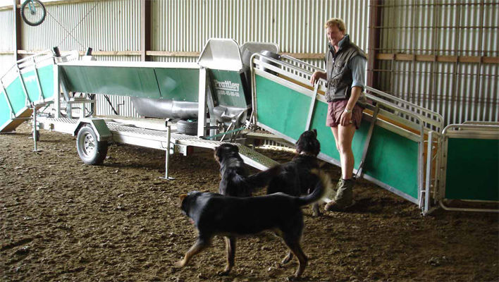 Sheep conveyor outlet