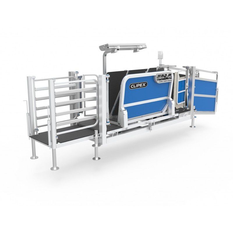 Sheep squeeze chute Clipex