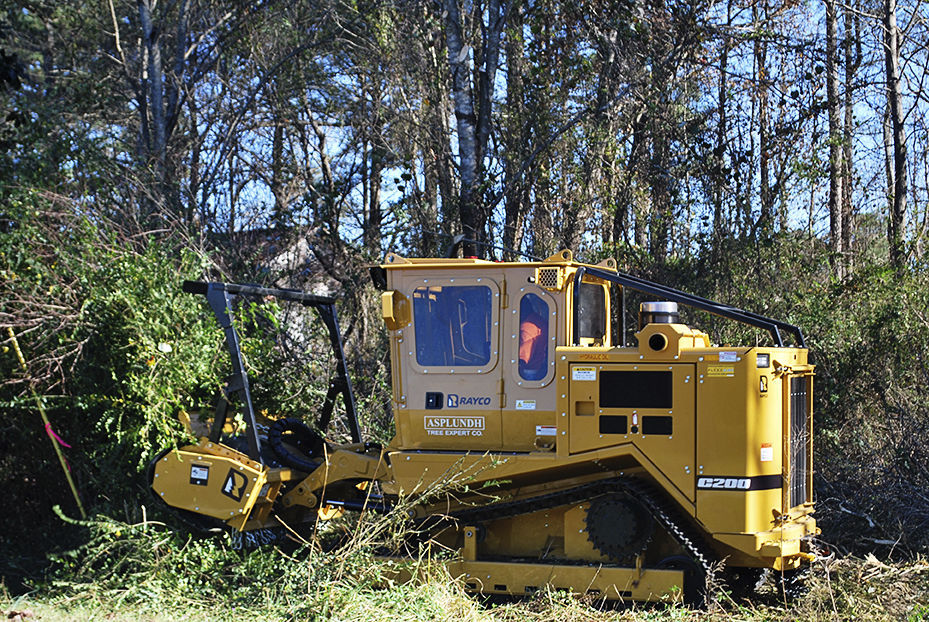 Selfpropelled mulcher C200 Rayco forestry / for tractors