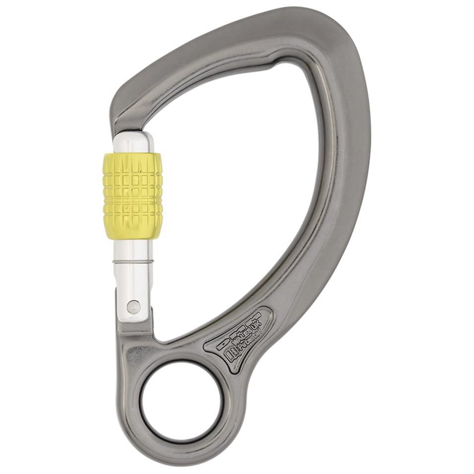 Locking carabiner Captive Eye DMM Professional anchor / pearshaped